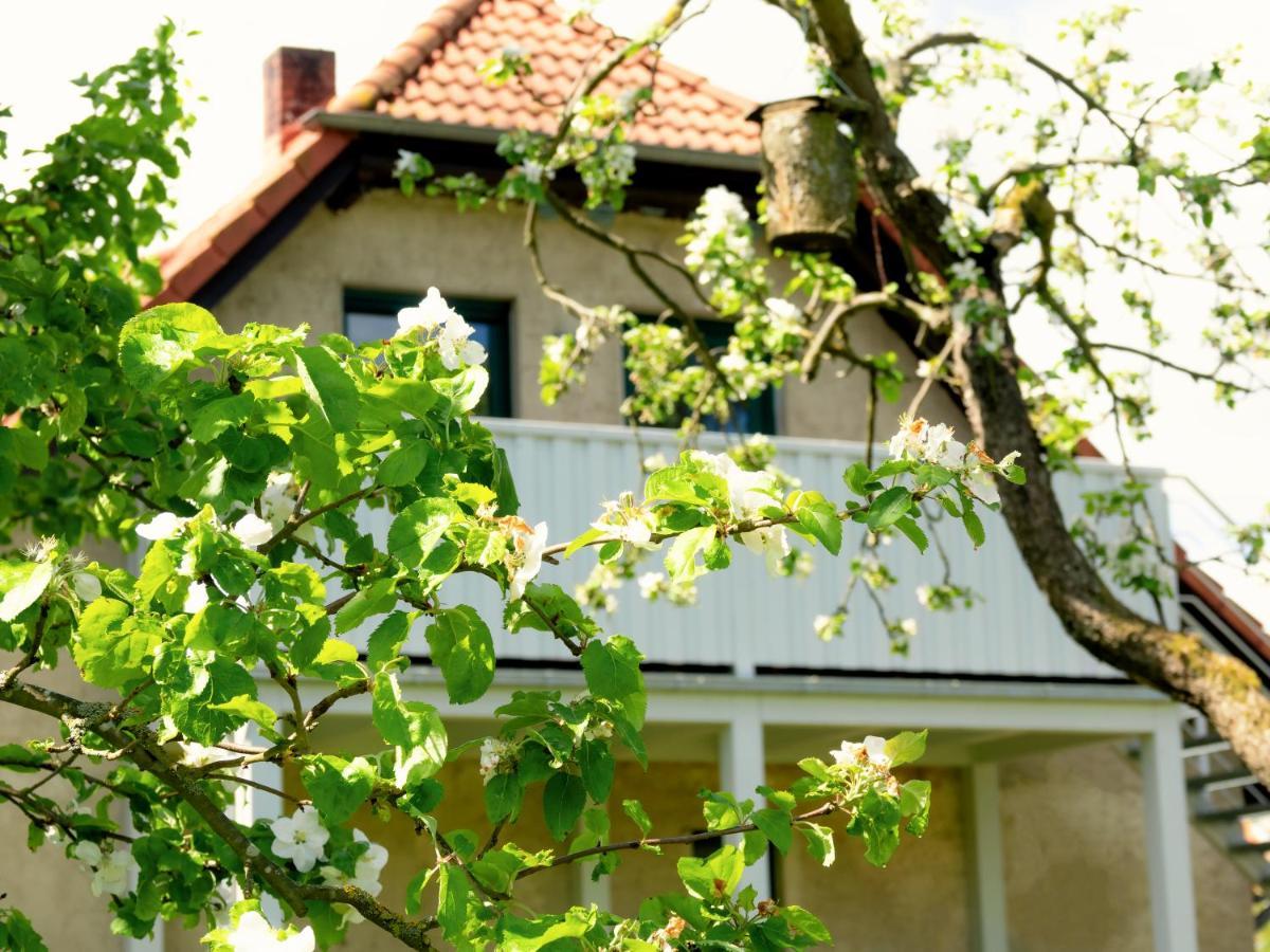 Ferienwohnung Rohlffs Stolpe Auf Usedom Bagian luar foto